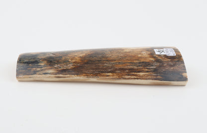 Brown mammoth bark