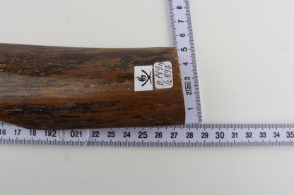 Brown-mustard mammoth bark