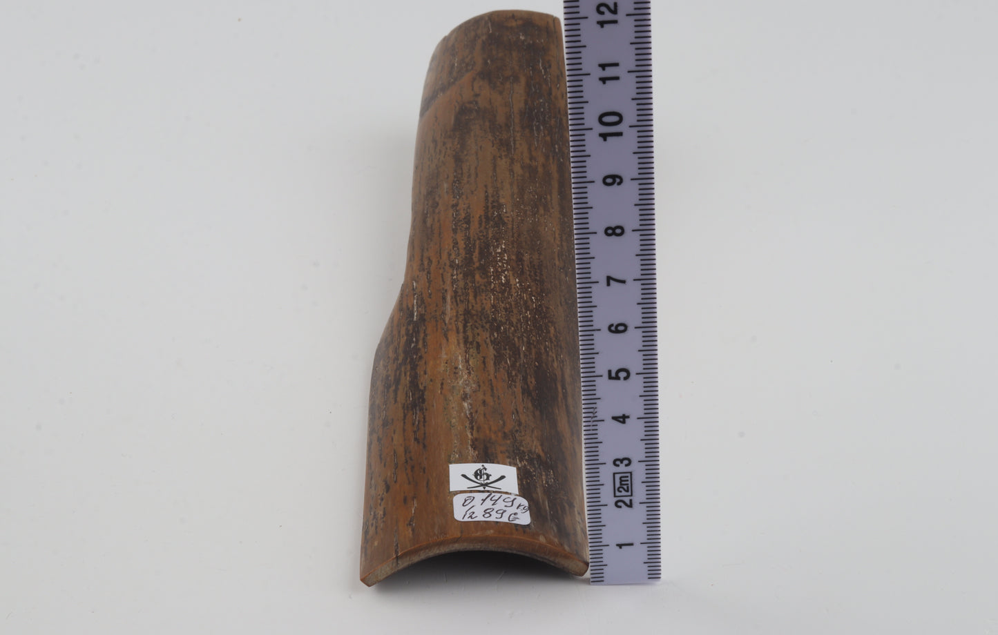 Brown-mustard mammoth bark