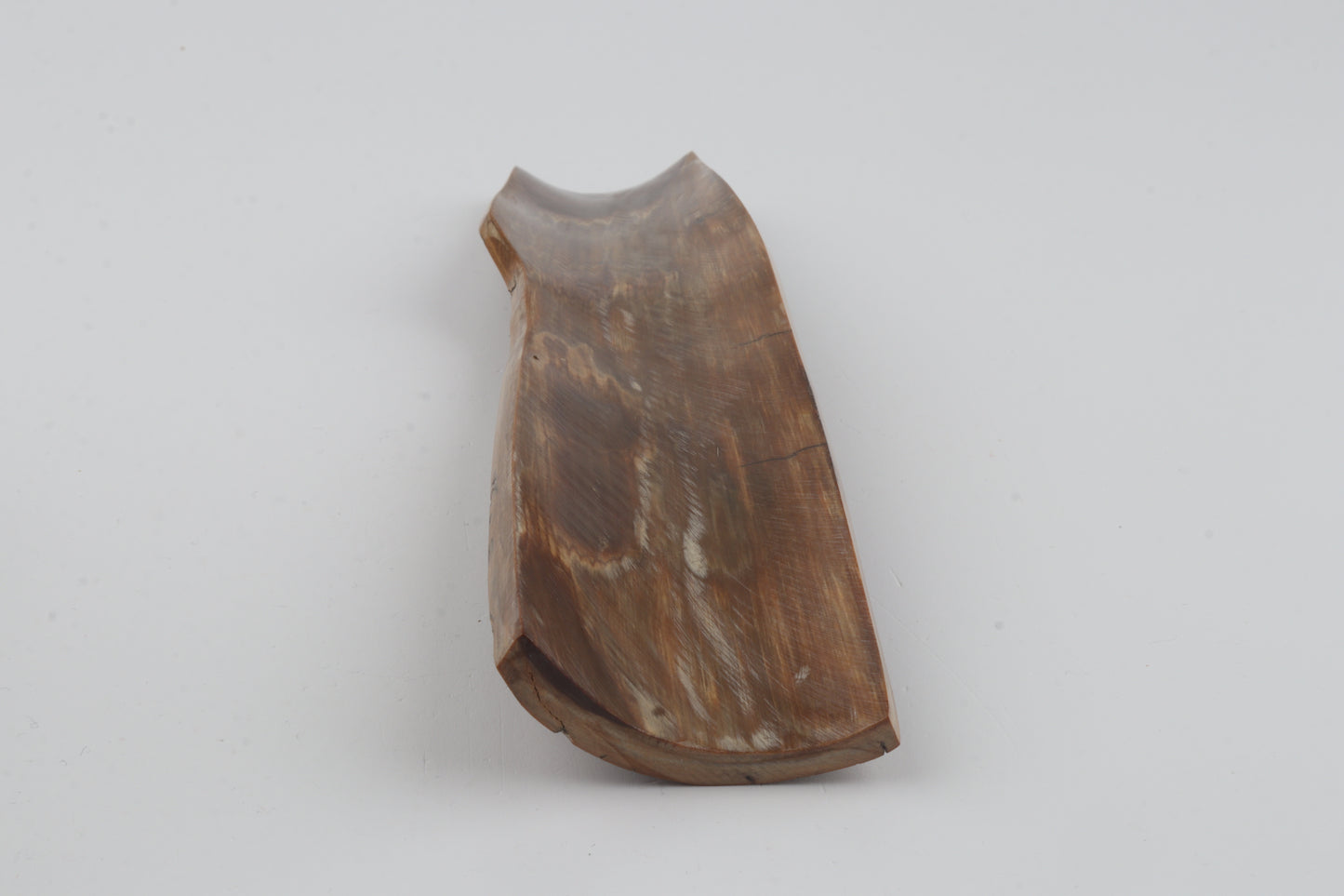 Brown-mustard mammoth bark