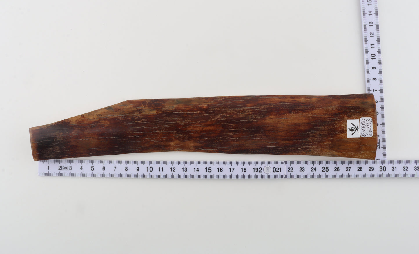 Red-brown mammoth bark