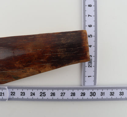 Red-brown mammoth bark