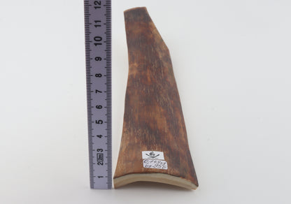 Red-brown mammoth bark