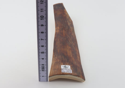 Red-brown mammoth bark
