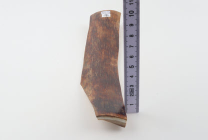 Red-brown mammoth bark
