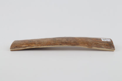 Beige mammoth bark