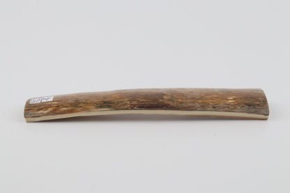 Beige mammoth bark