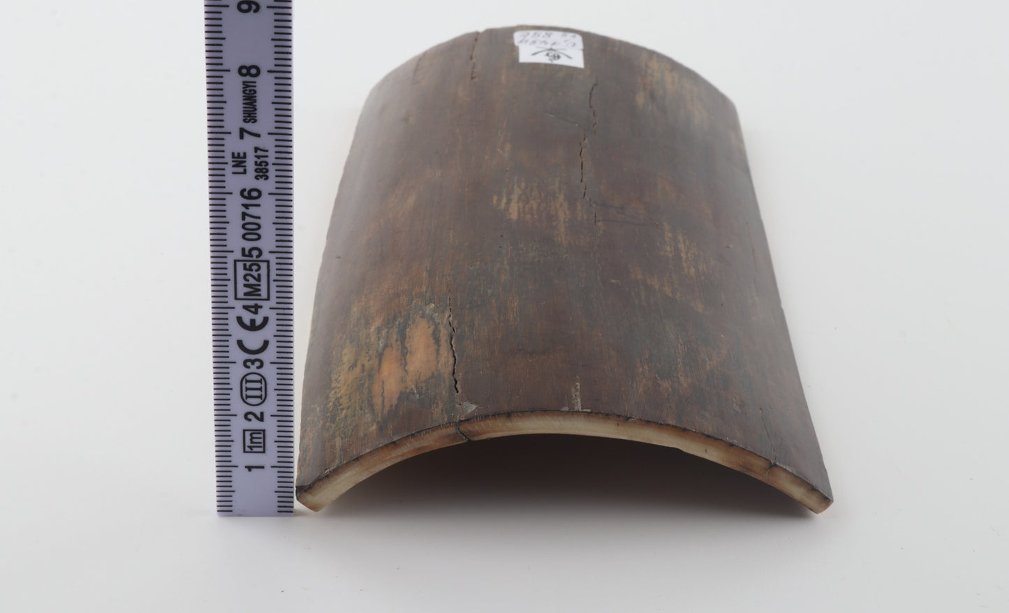 Brown mammoth bark