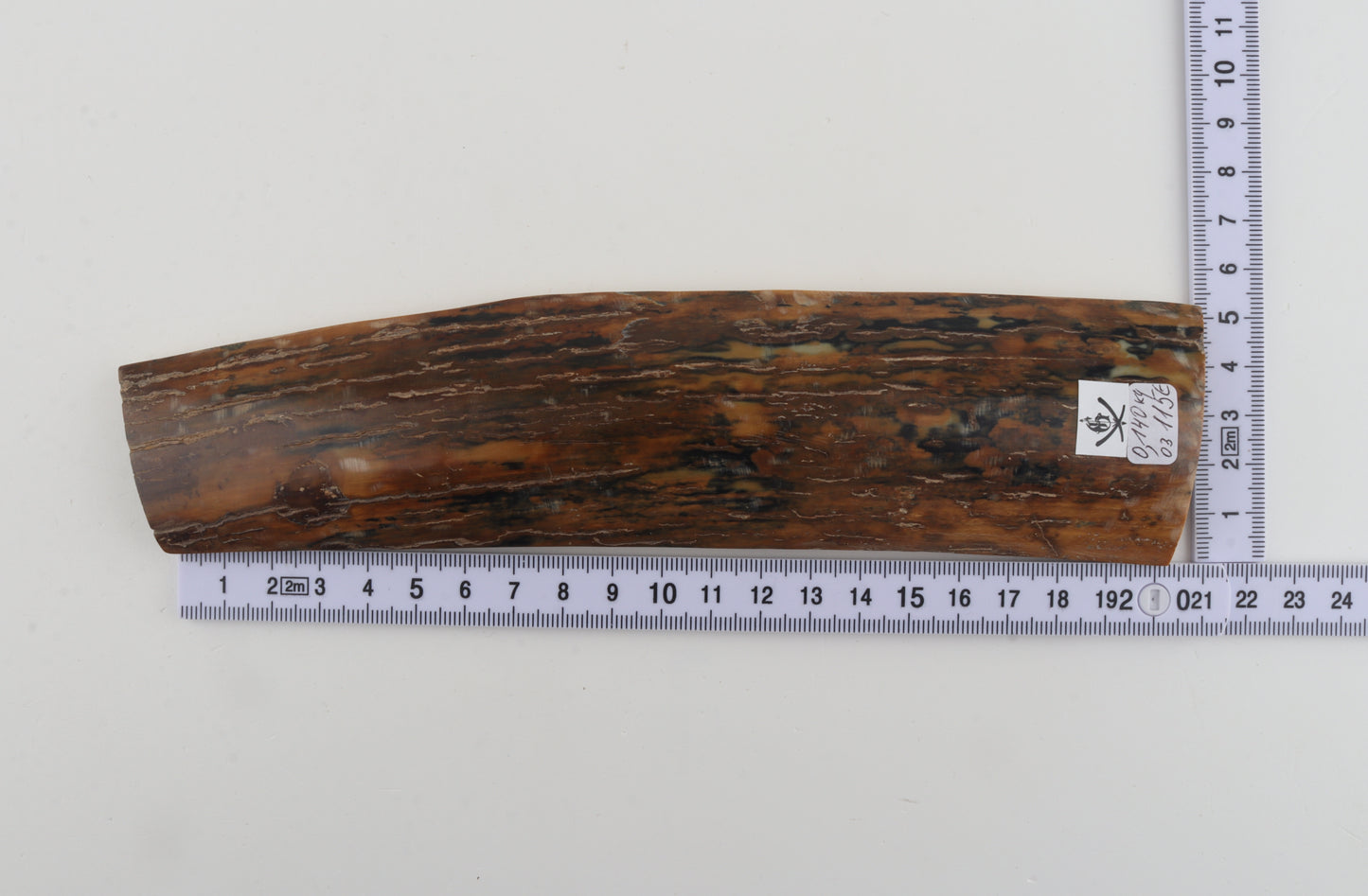 Brown-mustard mammoth bark