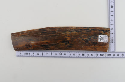 Brown-mustard mammoth bark