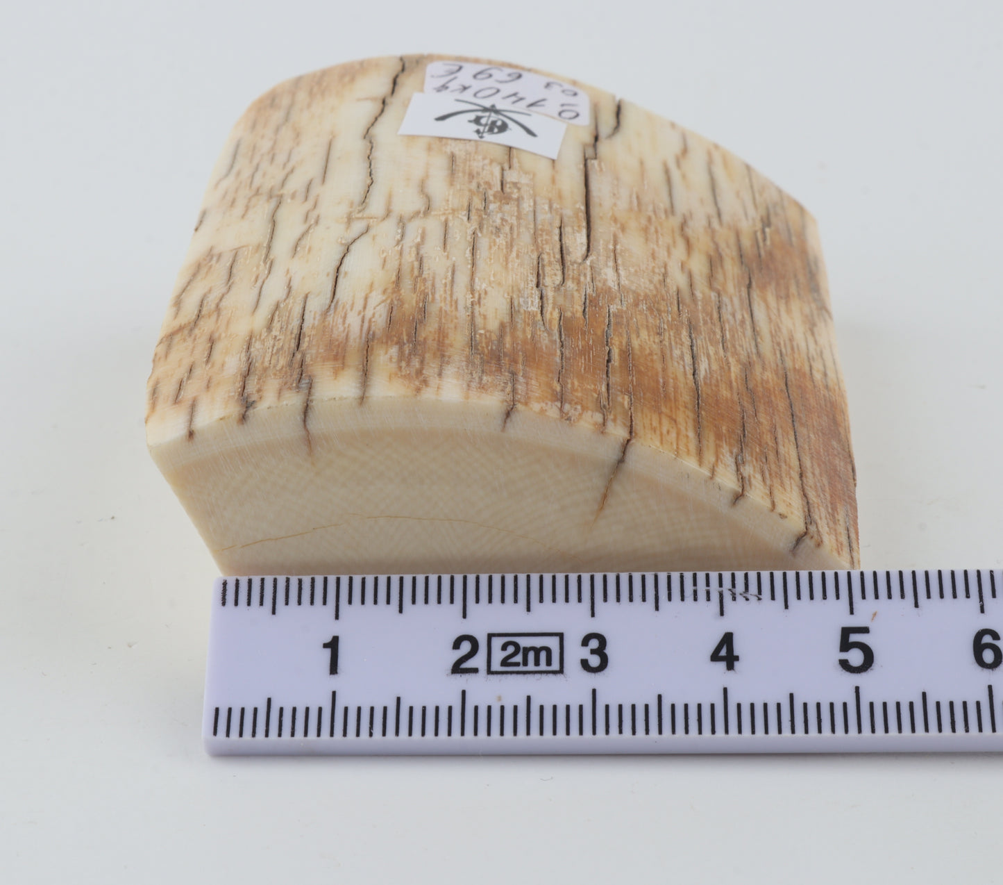 Natural mammoth ivory piece