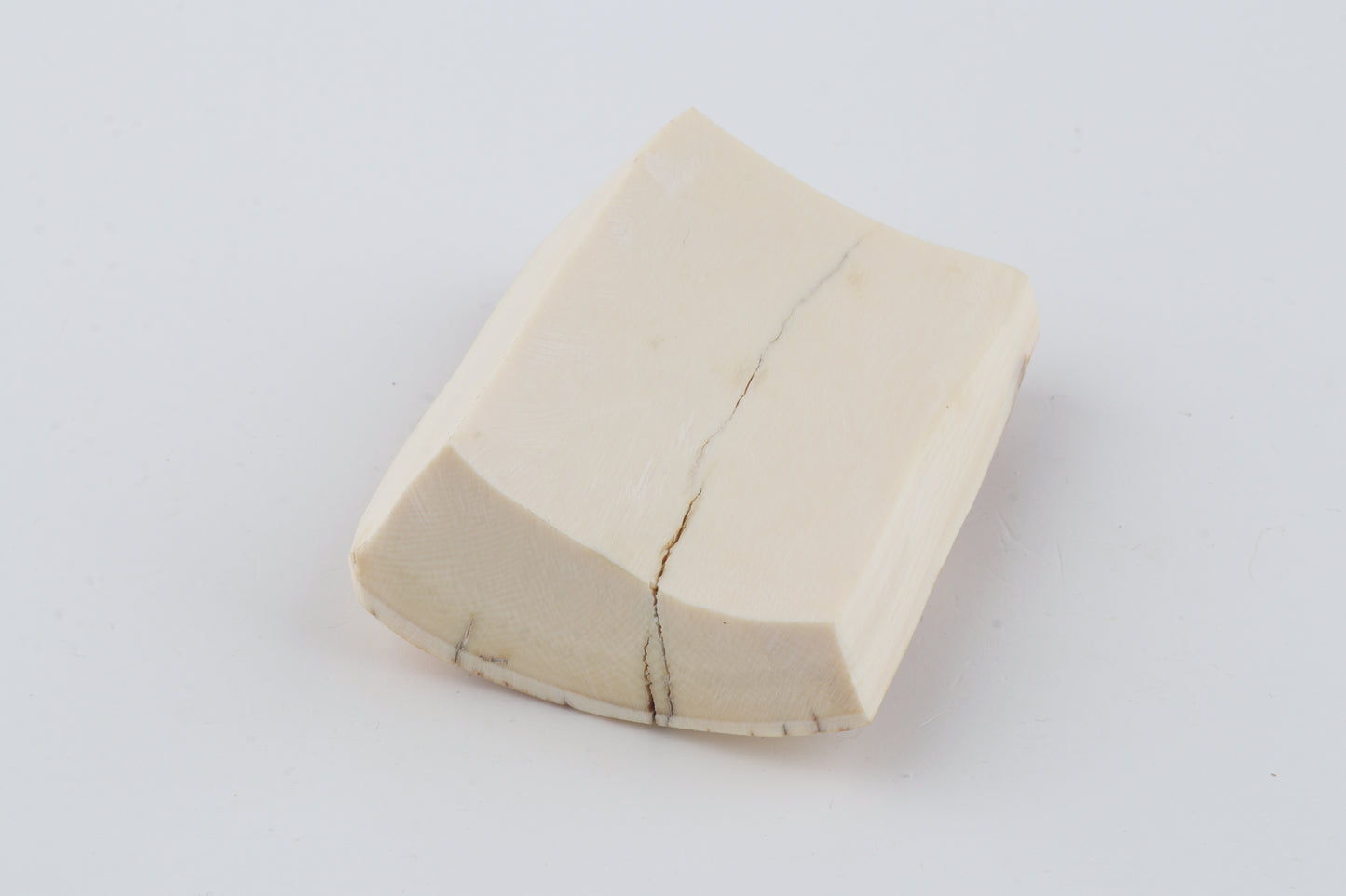 Natural mammoth ivory piece