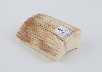 Natural mammoth ivory piece