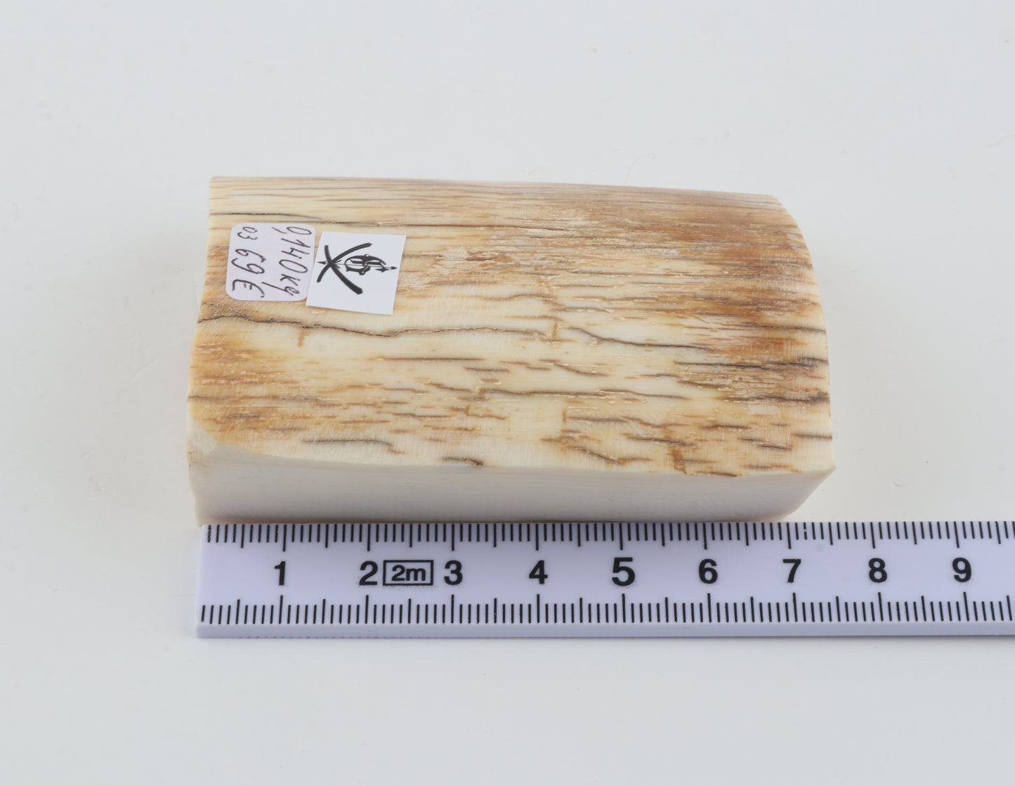 Natural mammoth ivory piece