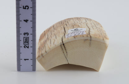 Natural mammoth ivory piece