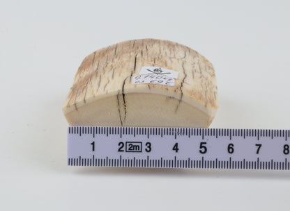 Natural mammoth ivory piece