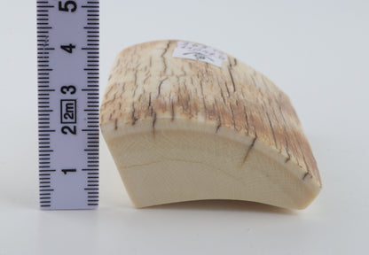 Natural mammoth ivory piece