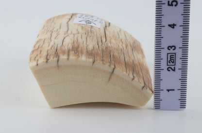 Natural mammoth ivory piece