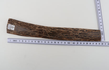 Brown mammoth bark