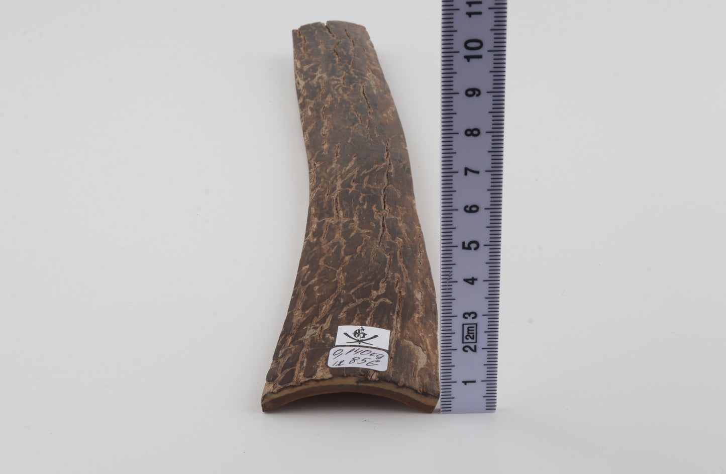 Brown mammoth bark