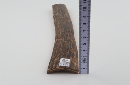 Brown mammoth bark