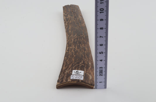 Brown mammoth bark