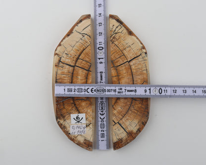 Stabilized mammoth ivory scales