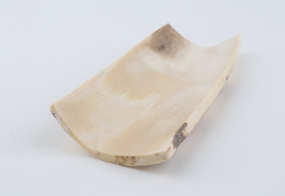 White-orange mammoth bark