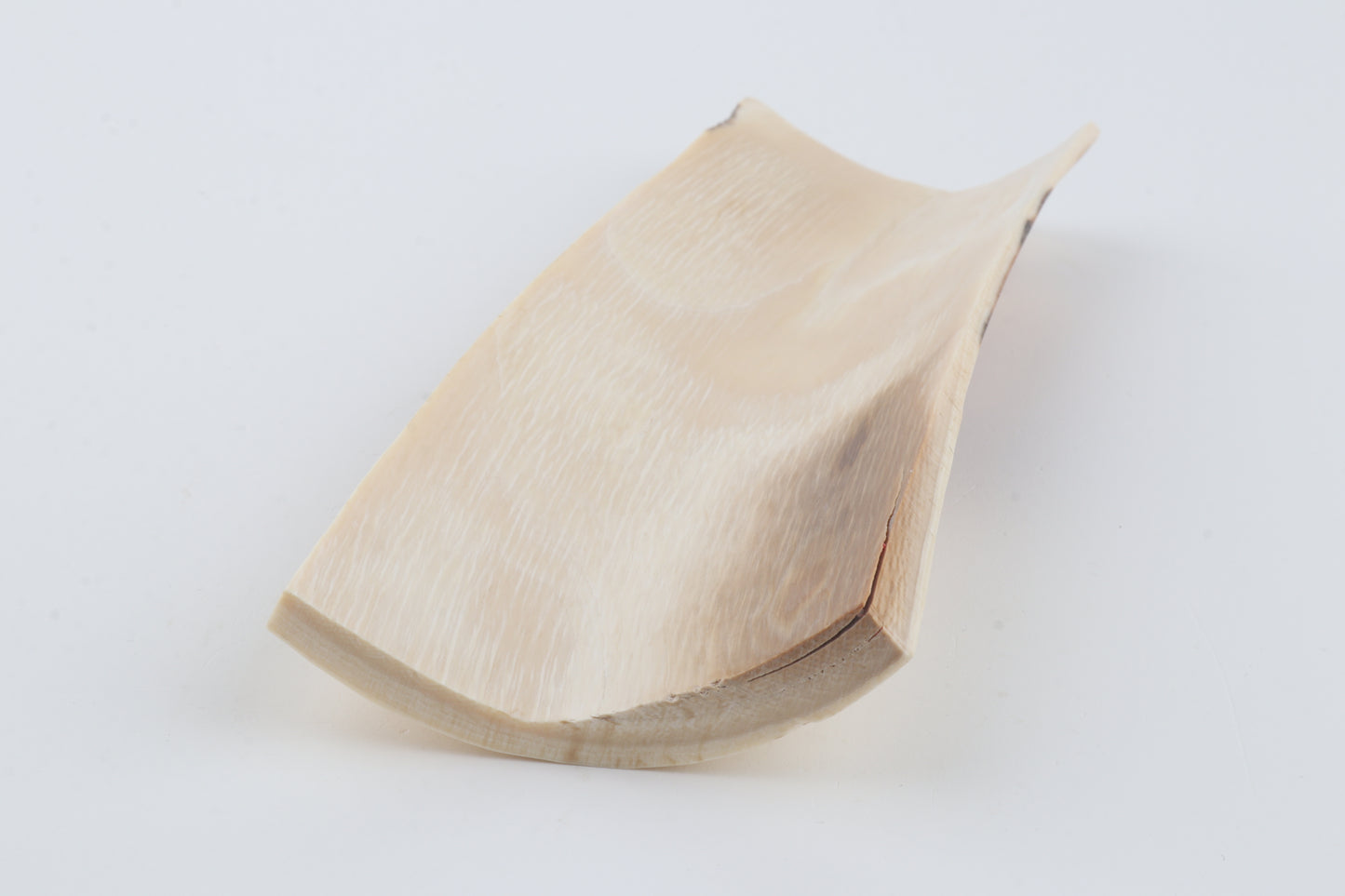 White-orange mammoth bark