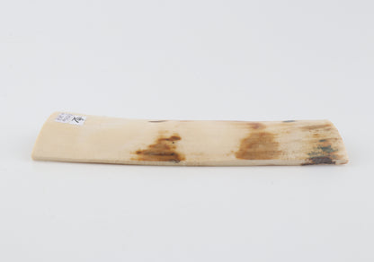 White-orange mammoth bark