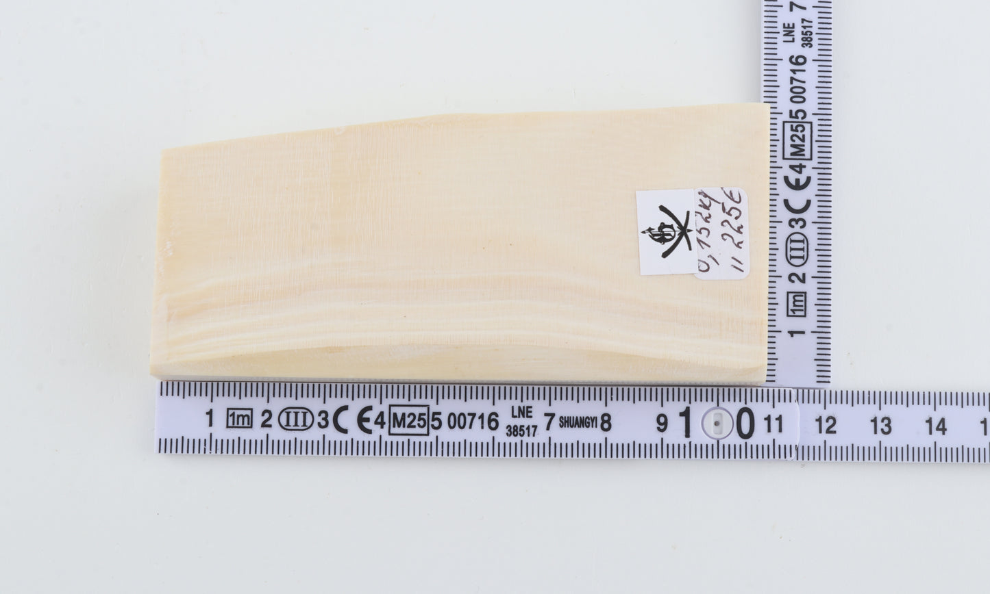 White mammoth ivory segment