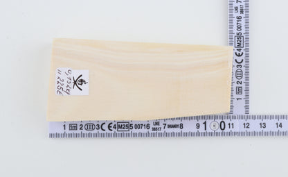 White mammoth ivory segment