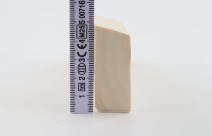 White mammoth ivory segment