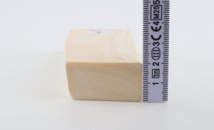 White mammoth ivory segment