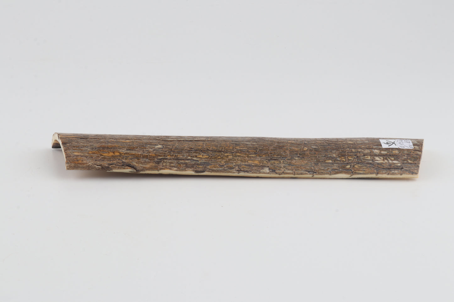 Beige mammoth bark