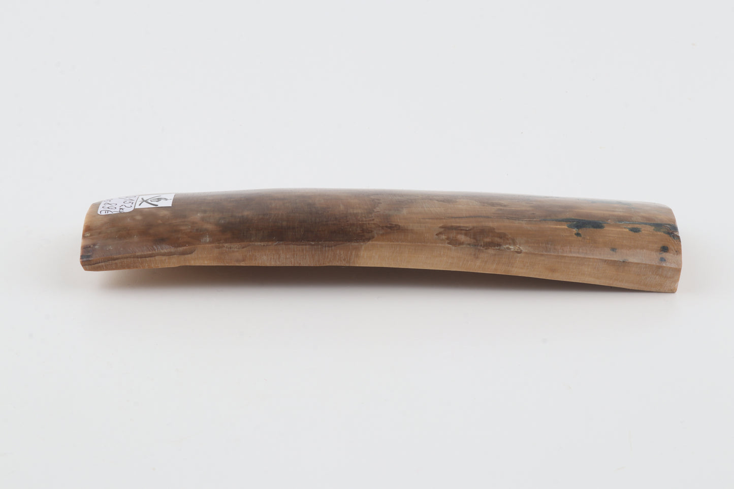 Beige-brown mammoth bark