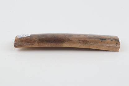 Beige-brown mammoth bark