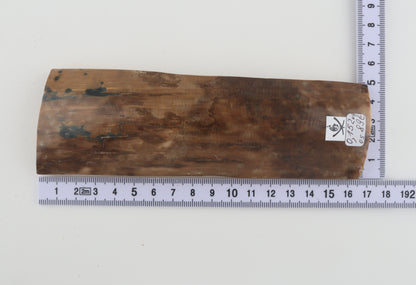 Beige-brown mammoth bark