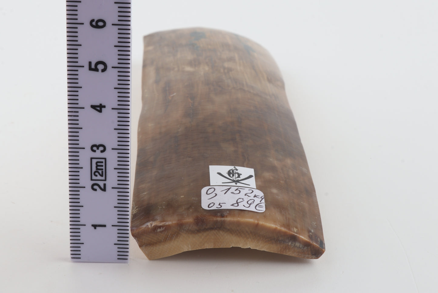 Beige-brown mammoth bark