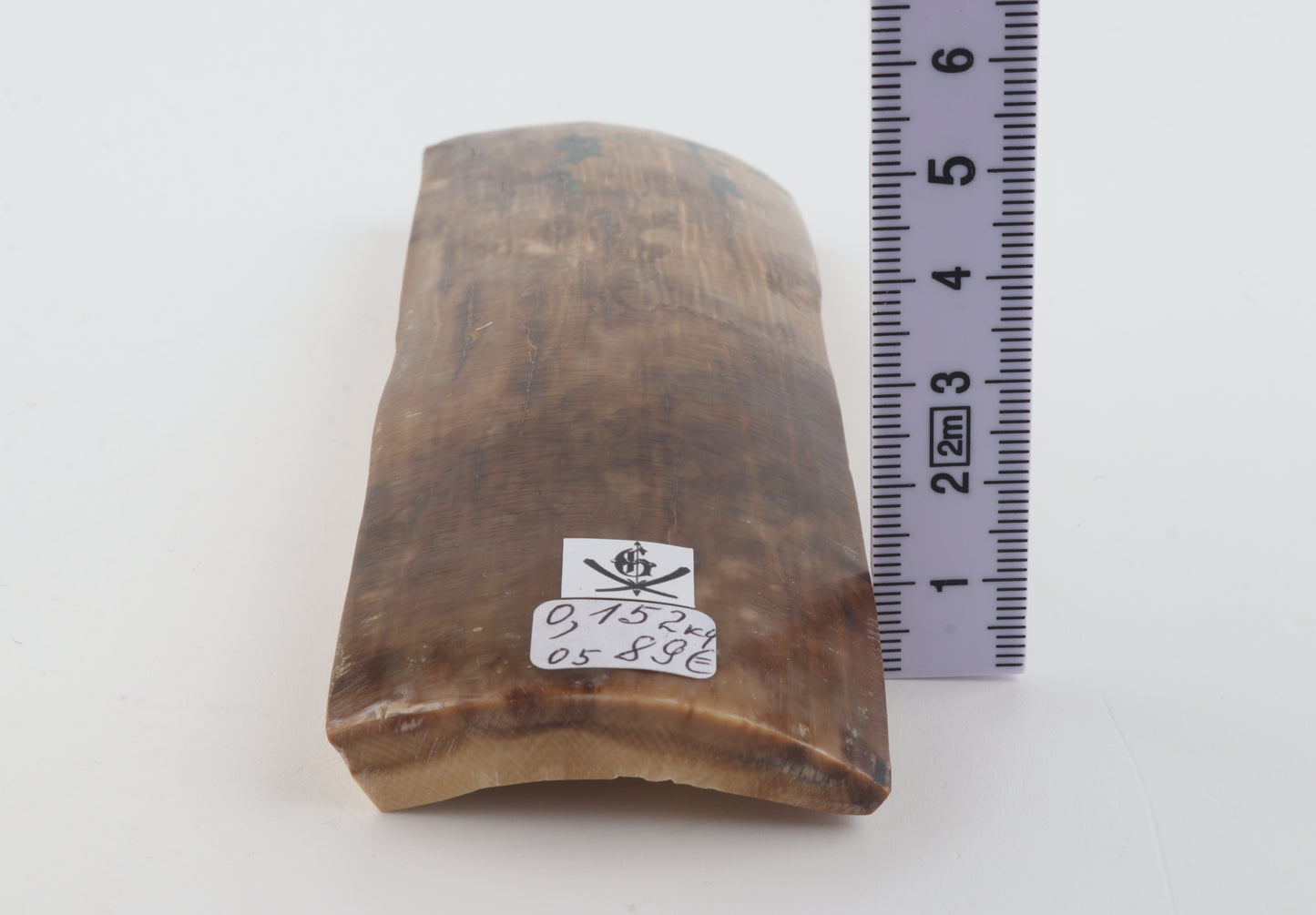 Beige-brown mammoth bark