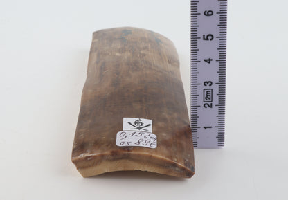 Beige-brown mammoth bark