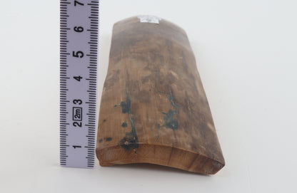 Beige-brown mammoth bark