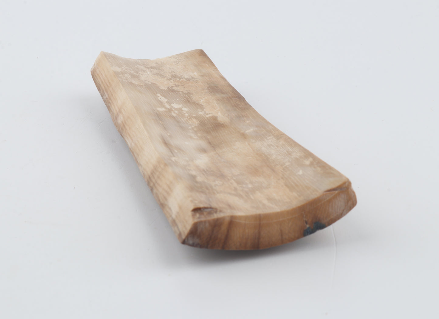Beige-brown mammoth bark
