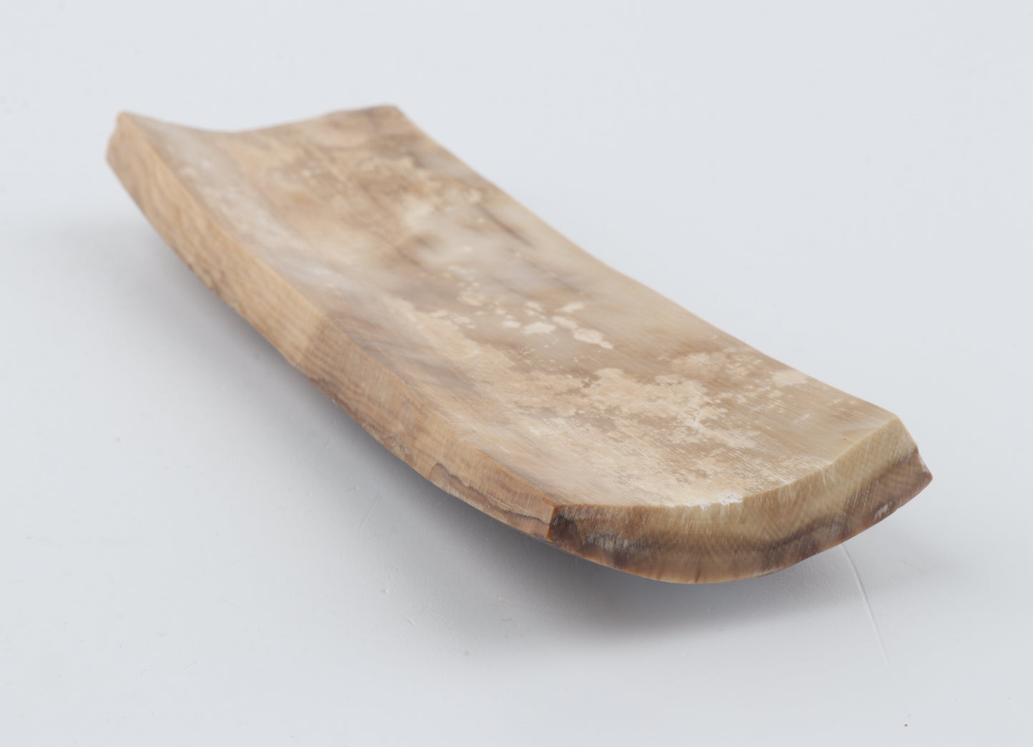 Beige-brown mammoth bark