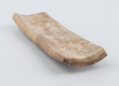 Beige-brown mammoth bark