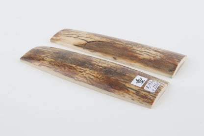 Natural mammoth bark scales