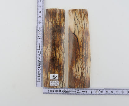 Natural mammoth bark scales