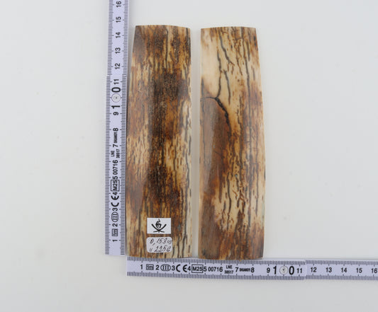 Natural mammoth bark scales