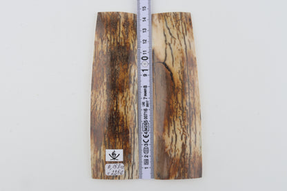 Natural mammoth bark scales