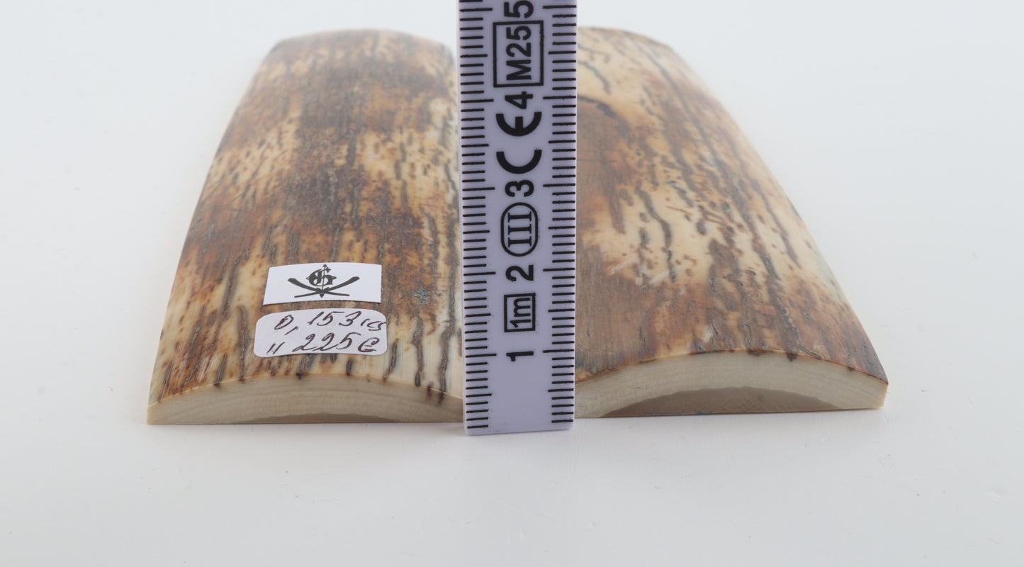 Natural mammoth bark scales